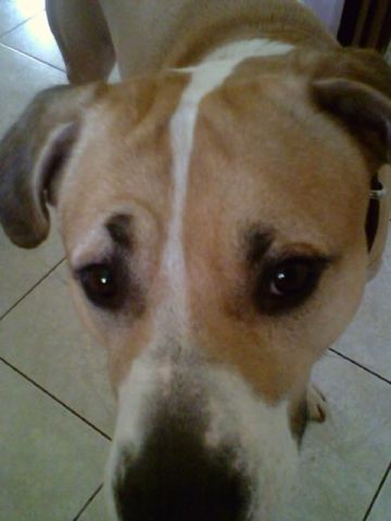 Romeo